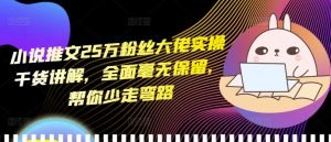 小说推文25万粉丝大佬实操干货讲解,全面毫无保留,帮你少走弯路-副业资源站