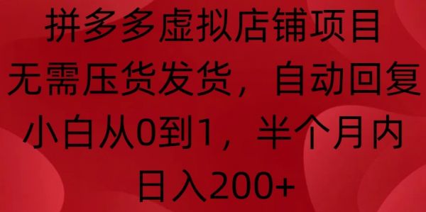 拼多多虚拟店铺项目，无需压货发货，自动回复，小白从0到1，半个月内日入200+【揭秘】-副业资源站