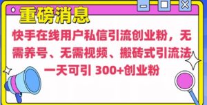 快手最新引流创业粉方法，无需养号、无需视频、搬砖式引流法【揭秘】-副业资源站