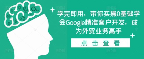 学完即用，带你实操0基础学会Google精准客户开发，成为外贸业务高手-副业资源站