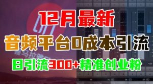12月最新：音频平台0成本引流，日引流300+精准创业粉-副业资源站