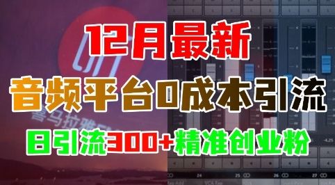 12月最新：音频平台0成本引流，日引流300+精准创业粉-副业资源站