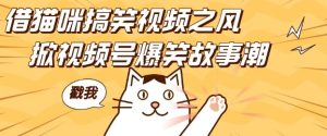借猫咪搞笑视频之风,掀视频号爆笑故事潮,轻松日入四位数,无门槛快速入门!-副业资源站