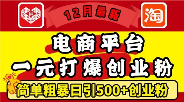 12月最新：电商平台1元打爆创业粉，简单粗暴日引500+精准创业粉，轻松月入过W【揭秘】-副业资源站