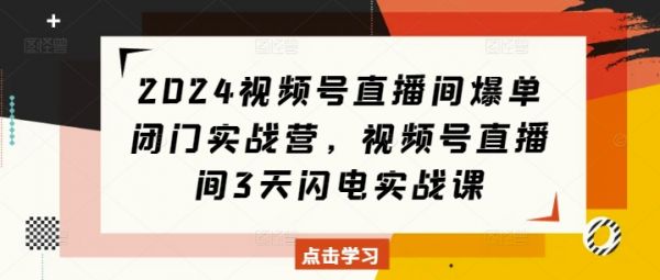 2024视频号直播间爆单闭门实战营，视频号直播间3天闪电实战课-副业资源站