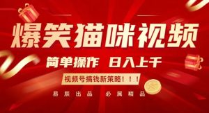 爆笑猫咪视频:简单操作,日入过K,视频号搞钱新策略【揭秘】-副业资源站