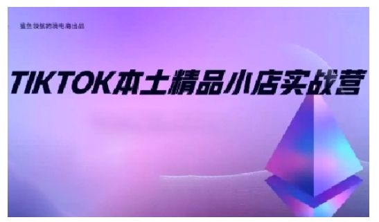 TikTok本土精品小店出海实战营，从入门到高阶，不止0-1!-副业资源站