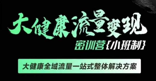 千万级大健康变现课线下课，大健康全域流量一站式整体解决方案-副业资源站