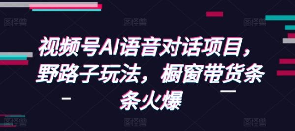 视频号AI语音对话项目，野路子玩法，橱窗带货条条火爆-副业资源站