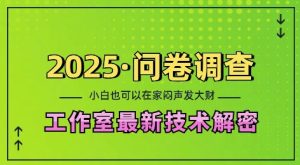 2025问卷调查最新工作室技术解密：一个人在家也可以闷声发大财，小白一天2张，可矩阵放大【揭秘】-副业资源站