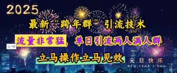 最新“跨年群”引流，流量非常猛，单日引流两人满人群，立马操作立马见效【揭秘】-副业资源站