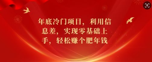 年底冷门项目，利用信息差，实现零基础上手，轻松赚个肥年钱【揭秘】-副业资源站