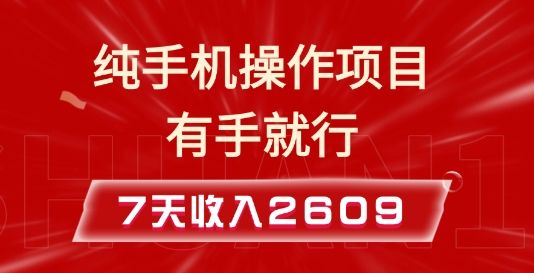 纯手机操作的小项目，有手就能做，7天收入2609+实操教程【揭秘】-副业资源站