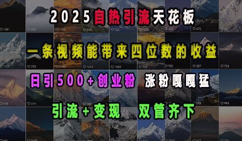 2025自热引流天花板，一条视频能带来四位数的收益，引流+变现双管齐下，日引500+创业粉，涨粉嘎嘎猛-副业资源站