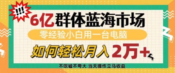 6亿群体蓝海市场，零经验小白用一台电脑，如何轻松月入过w【揭秘】-副业资源站