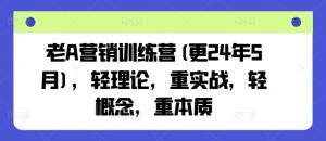 老A营销训练营(更24年12月),轻理论,重实战,轻概念,重本质-副业资源站