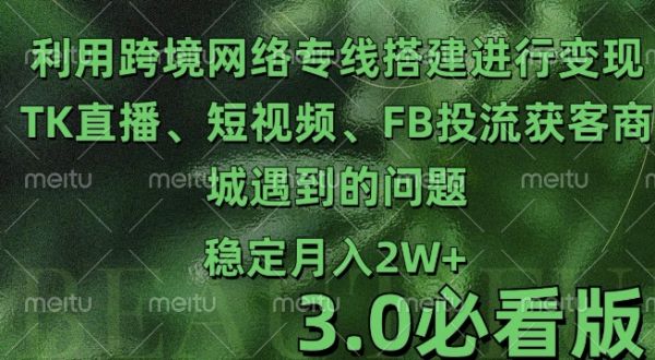 利用跨境电商网络及搭建TK直播、短视频、FB投流获客以及商城遇到的问题进行变现3.0必看版【揭秘】-副业资源站