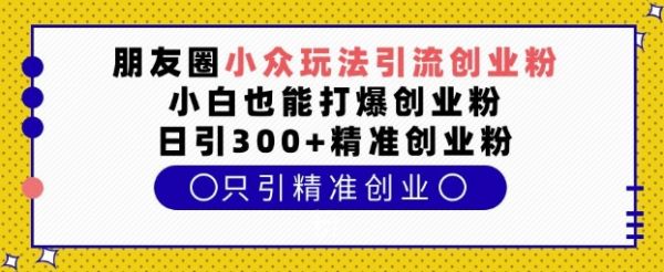 朋友圈小众玩法引流创业粉，小白也能打爆创业粉，日引300+精准创业粉【揭秘】-副业资源站