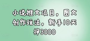 小说推文项目，图文创作玩法，新手10天挣3000-副业资源站