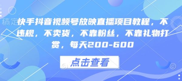 快手抖音视频号放映直播项目教程，不违规，不卖货，不靠粉丝，不靠礼物打赏，每天200-600-副业资源站