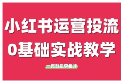 小红书运营投流，小红书广告投放从0到1的实战课，学完即可开始投放-副业资源站