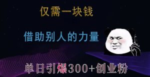 仅需一块钱,借助别人的力量,单日引爆300+创业粉、兼职粉【揭秘】-副业资源站