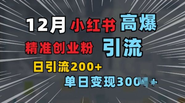 小红书一张图片“引爆”创业粉，单日+200+精准创业粉 可筛选付费意识创业粉【揭秘】-副业资源站