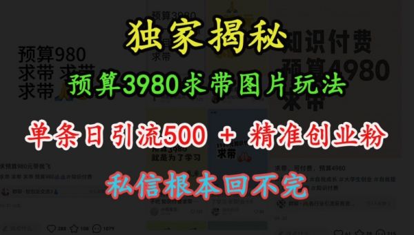 预算3980求带 图片玩法，单条日引流500+精准创业粉，私信根本回不完-副业资源站