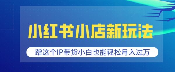 小红书小店新玩法，蹭这个IP带货，小白也能轻松月入过W【揭秘】-副业资源站