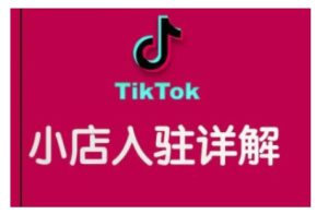 TikTok跨境小店运营全攻略,帮助你独立运营TK跨境小店的能力,实现销量增长-副业资源站