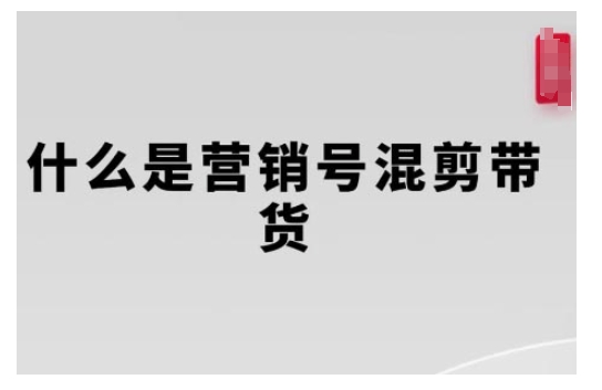 营销号混剪带货，从内容创作到流量变现的全流程，教你用营销号形式做混剪带货-副业资源站