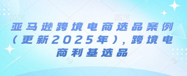 亚马逊跨境电商选品案例(更新2025年)，跨境电商利基选品-副业资源站