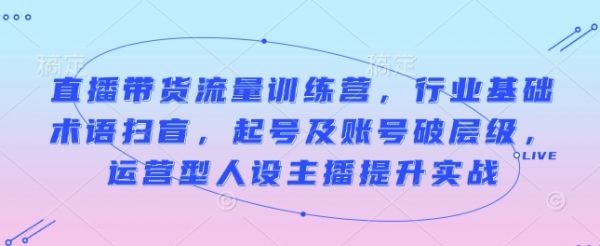 直播带货流量训练营，行业基础术语扫盲，起号及账号破层级，运营型人设主播提升实战-副业资源站