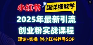 2025年最新小红书引流创业粉实战课程【超详细教学】小白轻松上手，月入1W+，附小红书养号SOP-副业资源站