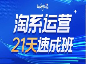 淘系运营21天速成班35期,年前最后一波和2025方向-副业资源站