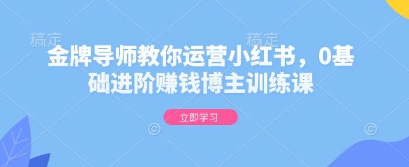 金牌导师教你运营小红书，0基础进阶赚钱博主训练课-副业资源站