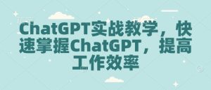 ChatGPT实战教学，快速掌握ChatGPT，提高工作效率-副业资源站