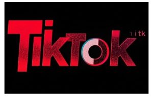 TikTok ads投流秘籍,涵盖tiktok整体投放思路,教你搭建测试计划-副业资源站