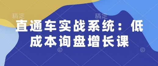 直通车实战系统：低成本询盘增长课，让个人通过技能实现升职加薪，让企业低成本获客，订单源源不断-副业资源站