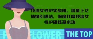顶流女性IP实战班,流量上亿情绪引爆法,深度打磨顶流女性IP硬核基本功-副业资源站