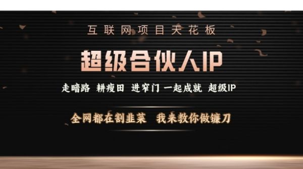 互联网项目天花板，超级合伙人IP，全网都在割韭菜，我来教你做镰刀【仅揭秘】-副业资源站