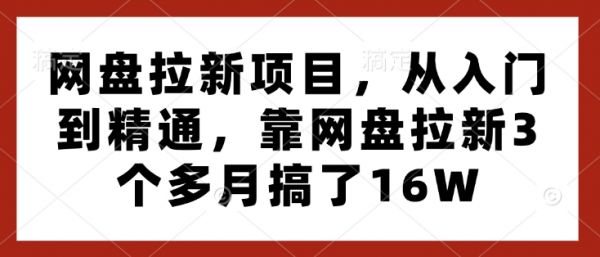 网盘拉新项目，从入门到精通，靠网盘拉新3个多月搞了16W-副业资源站