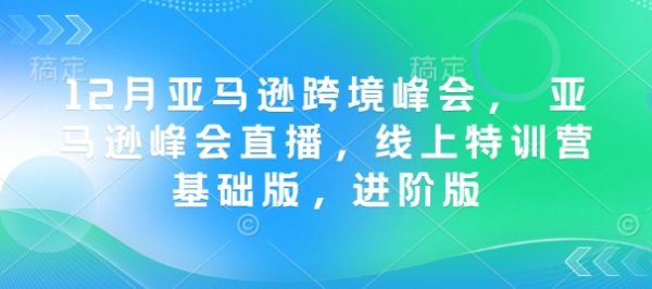 12月亚马逊跨境峰会， 亚马逊峰会直播，线上特训营基础版，进阶版-副业资源站