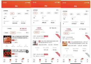 2025最新京东蓝海项目，0 门槛日入 1k+，小白宝妈轻松上手【揭秘】-副业资源站