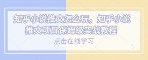 知乎小说推文怎么玩，知乎小说推文项目保姆级实战教程-副业资源站