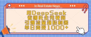 用DeepSeek做哪吒走秀视频，引爆流量涨粉利器，单日变现1k-副业资源站