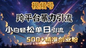跨平台暴力引流，私域完美闭环，日引500+精准创业粉-副业资源站