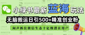小绿书无脑搬运引流,全自动日引500精准创业粉,微信生态内又一个闷声发财的机会-副业资源站