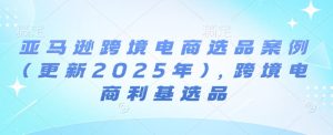 亚马逊跨境电商选品案例(更新2025年2月),跨境电商利基选品-副业资源站