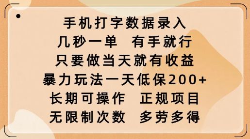 手机打字数据录入，几秒一单，有手就行，只要做当天就有收益，暴力玩法一天低保2张-副业资源站